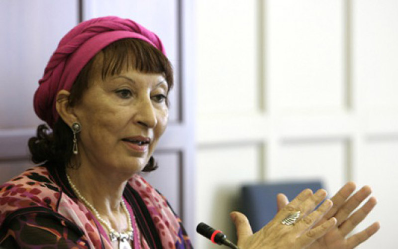 法蒂玛·梅尔尼西