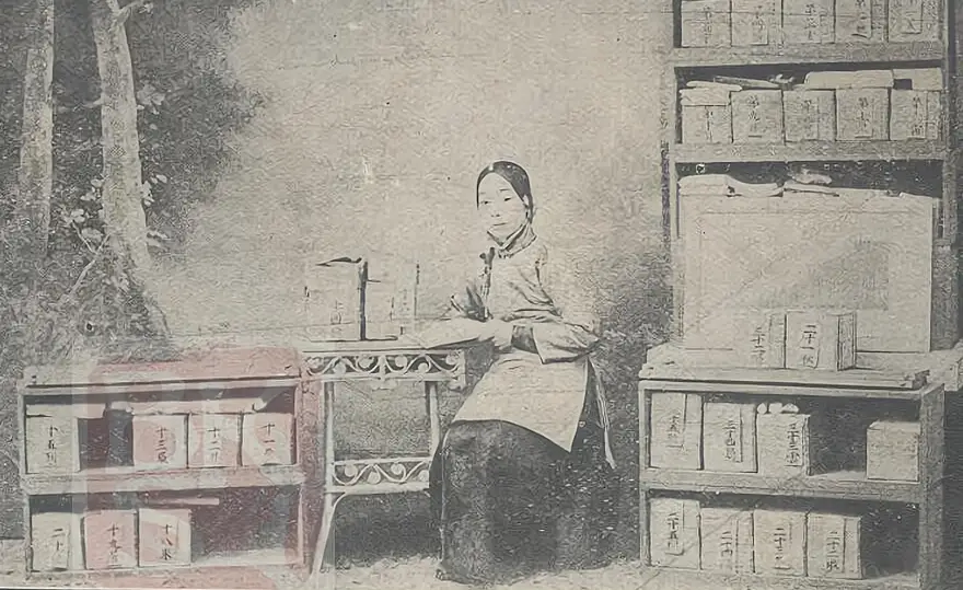 吴芝瑛